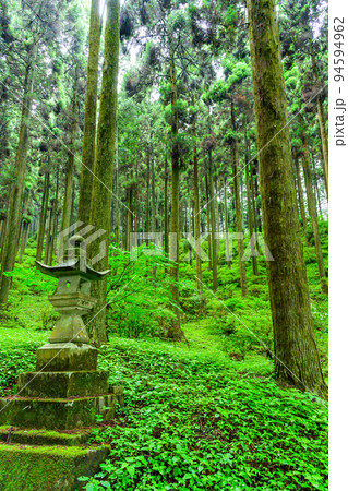 神秘的な神社「パワースポット・本堂への道　周辺風景」上色見熊野座神社(阿蘇郡高森町上色見) 94594962