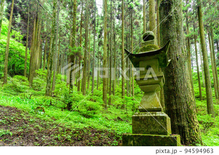 神秘的な神社「パワースポット・本堂への道　周辺風景」上色見熊野座神社(阿蘇郡高森町上色見) 94594963