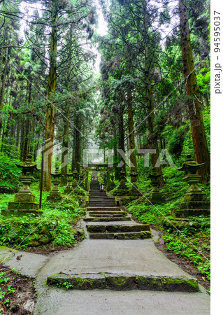 神秘的な神社「パワースポット・本堂への道周辺風景」上色見熊野座神社(阿蘇郡高森町上色見) 神秘的な神社「パワースポット・本堂への道周辺風景」上色見熊野座神社(阿蘇郡高森町上色見) 94595037
