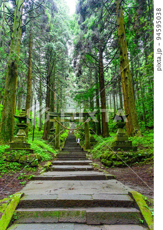 神秘的な神社「パワースポット・本堂への道周辺風景」上色見熊野座神社(阿蘇郡高森町上色見) 神秘的な神社「パワースポット・本堂への道周辺風景」上色見熊野座神社(阿蘇郡高森町上色見) 94595038