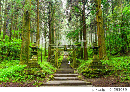 神秘的な神社「パワースポット・本堂への道周辺風景」上色見熊野座神社(阿蘇郡高森町上色見) 神秘的な神社「パワースポット・本堂への道周辺風景」上色見熊野座神社(阿蘇郡高森町上色見) 94595039
