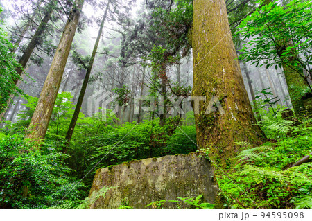 神秘的な神社「パワースポット・本堂周辺風景」上色見熊野座神社(阿蘇郡高森町上色見) 94595098