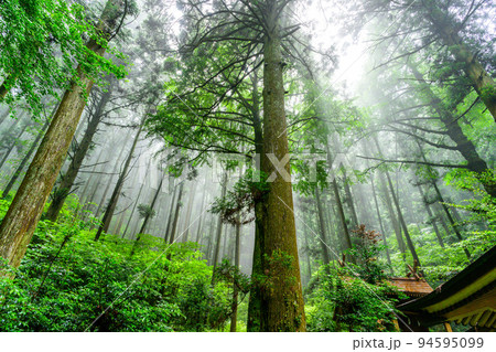 神秘的な神社「パワースポット・本堂周辺風景」上色見熊野座神社(阿蘇郡高森町上色見) 94595099