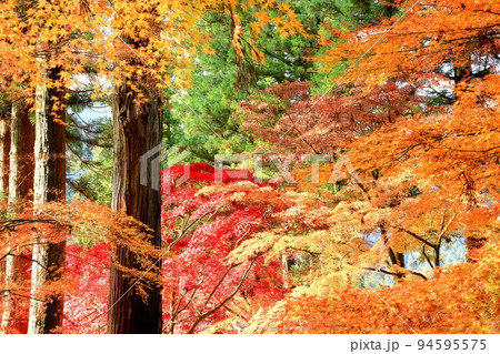 若穂・清水寺の紅葉 若穂・清水寺の紅葉 94595575