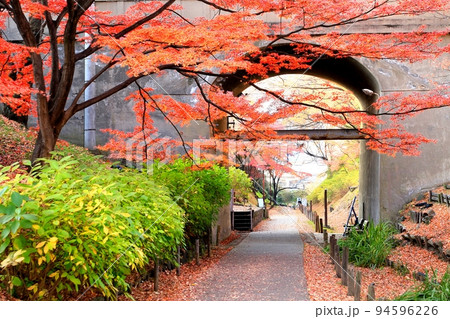 上田城跡公園の紅葉 上田城跡公園の紅葉 94596226