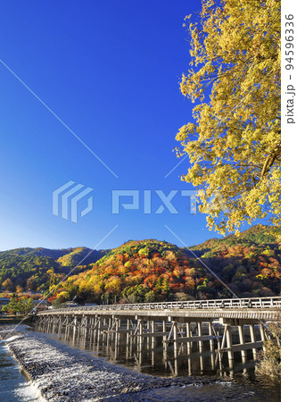 秋の京都　嵐山の紅葉と渡月橋 94596336