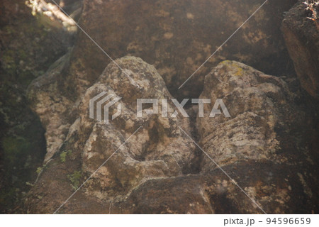 石仏（ゴア・ガジャ遺跡･バリ島／インドネシア） 94596659
