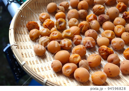 梅干し 土梅干し 土用干し 保存食 梅干し 土梅干し 土用干し 保存食 94596828