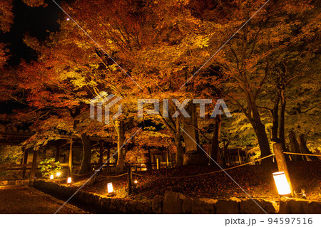 京都東山の秋 東福寺 紅葉ライトアップ 京都東山の秋 東福寺 紅葉ライトアップ 94597516