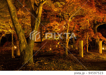 京都東山の秋　東福寺　紅葉ライトアップ 94597523