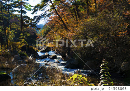 11月の昇仙峡で撮影した、カラフルに紅葉した木々と、ゴツゴツした岩の間を流れる川 94598063