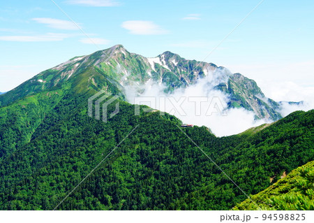 爺ヶ岳南峰から見る鹿島槍ヶ岳 94598825