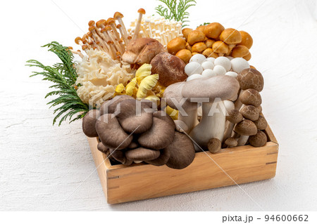 たくさんの種類のきのこ 94600662