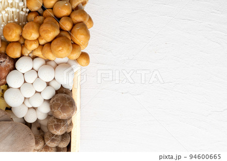 たくさんの種類のきのこ 94600665