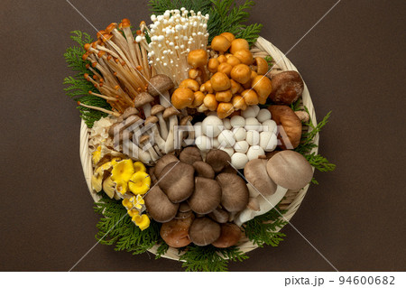 たくさんの種類のきのこ 94600682
