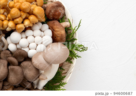 たくさんの種類のきのこ 94600687