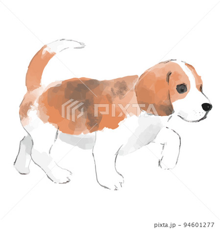 ビーグルの手描き風スケッチイラスト 94601277