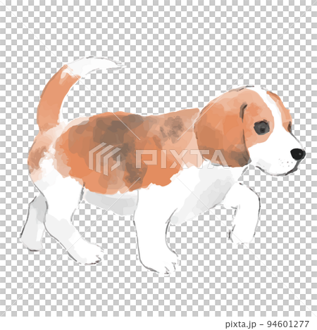 ビーグルの手描き風スケッチイラスト 94601277