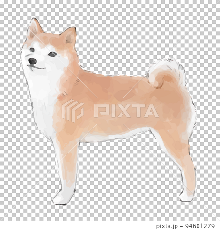 柴犬の手描き風スケッチイラスト2 94601279