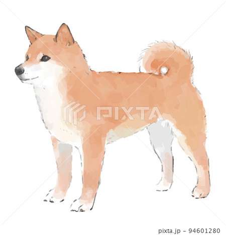 柴犬の手描き風スケッチイラスト 94601280