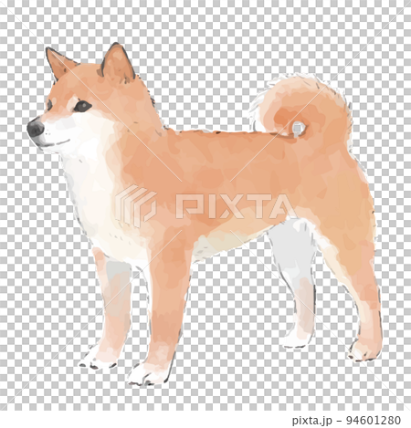 柴犬の手描き風スケッチイラスト 94601280