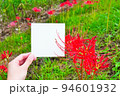赤い彼岸花を背景にした白紙のメッセージスペースのモックアップ 94601932