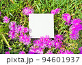 ピンクのマツバギクの花を背景にした白いタイトルカードのモックアップ 94601937