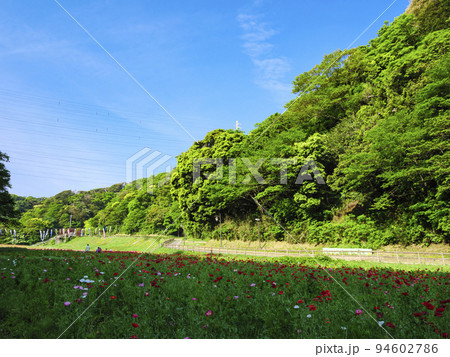 久里浜花の国 久里浜花の国 94602786