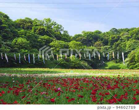 久里浜花の国 久里浜花の国 94602789