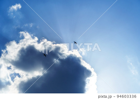 birds flying high in the sky, bright sunlight through the clouds birds flying high in the sky, bright sunlight through the clouds 94603336