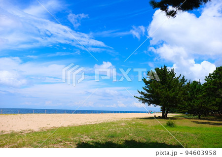 淡路島慶野松原海水浴場の青い海と松原 淡路島慶野松原海水浴場の青い海と松原 94603958