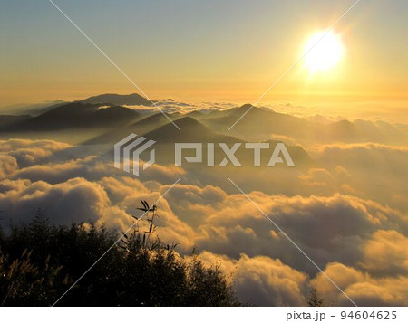 阿里山 南投 玉山 94604625