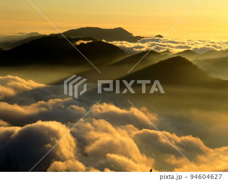 阿里山 南投 玉山 94604627