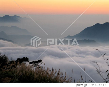 阿里山 南投 玉山 94604648