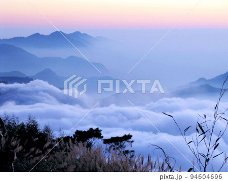 阿里山 南投 玉山 94604696