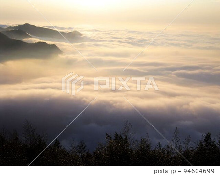 阿里山 南投 玉山 94604699