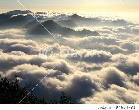 阿里山 南投 玉山 94604731