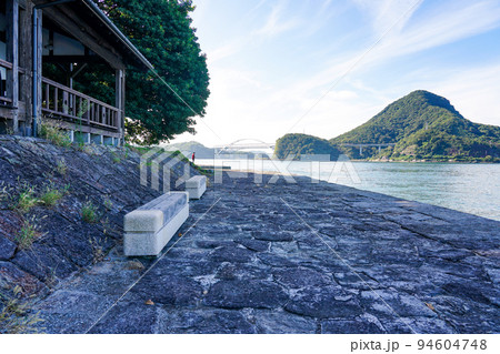 世界遺産に立つ巨木 三角西港のアコウの木（熊本県宇城市） 94604748