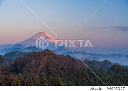 （静岡県）伊豆の国から、沼津アルプスの雲海越しに富士山 94605397