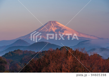 （静岡県）伊豆の国から、沼津アルプスの雲海越しに富士山 94605398
