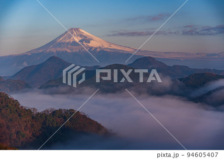 （静岡県）伊豆の国から、沼津アルプスの雲海越しに富士山 94605407