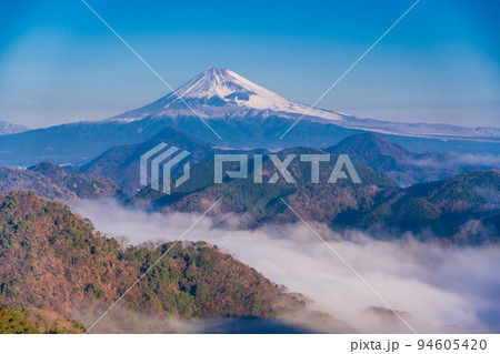 （静岡県）伊豆の国から、沼津アルプスの雲海越しに富士山 94605420