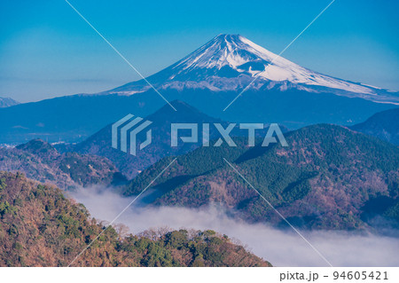 （静岡県）伊豆の国から、沼津アルプスの雲海越しに富士山 94605421