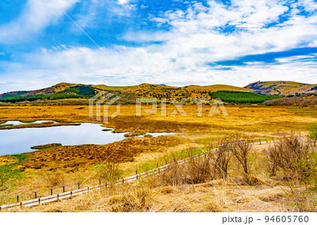八島ヶ原湿原 八島ヶ原湿原 94605760