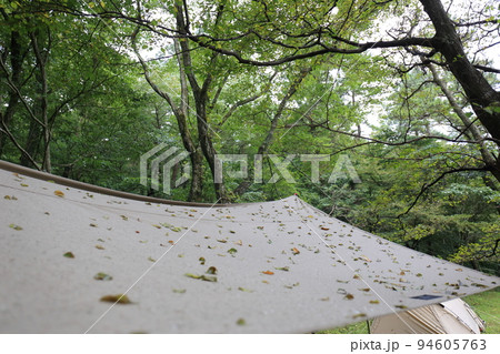 雨上がりのタープと森 雨上がりのタープと森 94605763