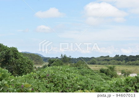 晩夏の愛知川の川原と青空と白雲 94607013