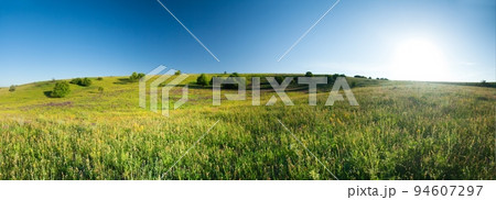 Scenic farmlands landscape with lush green pasture hills and golden canola in bloom Scenic farmlands landscape with lush green pasture hills and golden canola in bloom 94607297