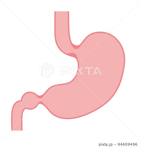 人間の身体★胃のイラスト 94609496