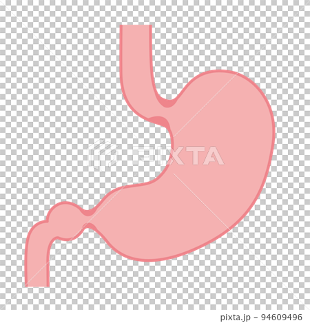 人體胃的插圖 94609496