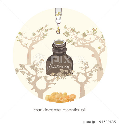 フランキンセンスのイラスト・精油＆アロマ 94609635